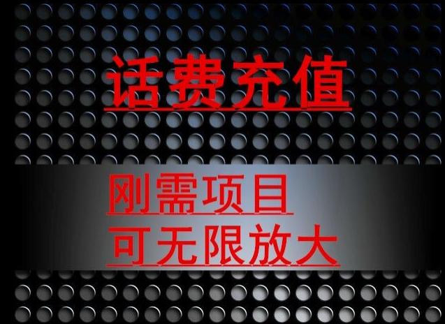 最新蓝海项目，刚需赛道，95折充话费月入5位数-一个公司创业项目 - 淘金吧