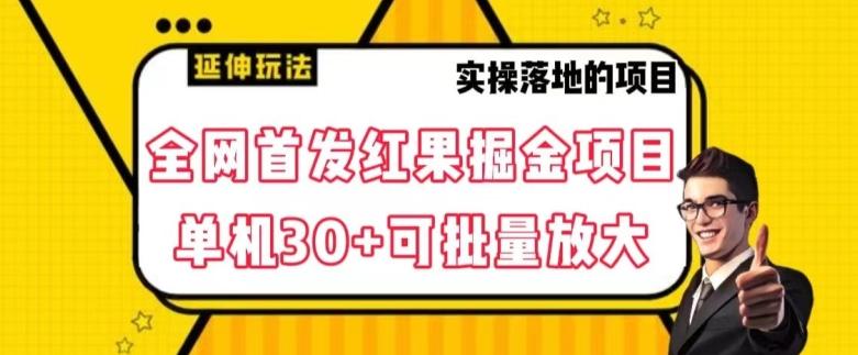 全网首发红果免费短剧掘金项目，单机30+可批量放大【揭秘】-一个公司创业项目 - 淘金吧