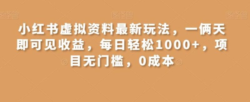 小红书虚拟资料最新玩法，一俩天即可见收益，每日轻松1000+，项目无门槛，0成本-一个公司创业项目 - 淘金吧