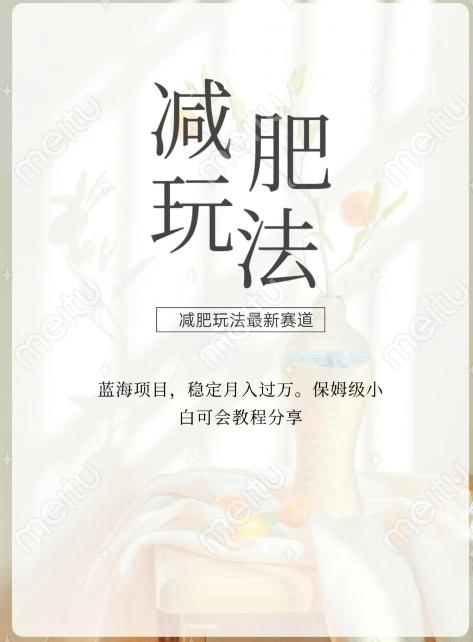 减肥流量主新玩法，轻松月入1W，可矩阵操作收入翻倍-一个公司创业项目 - 淘金吧