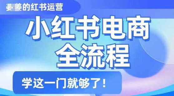 小红书电商全流程,精简易懂,从入门到精通,学这一门就够了-一个公司创业项目 - 淘金吧