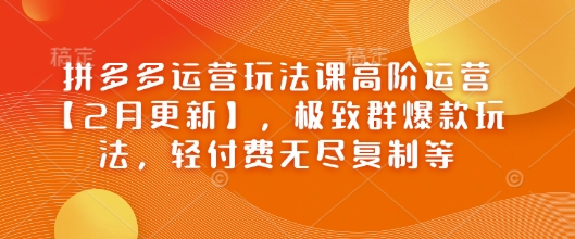 拼多多运营玩法课高阶运营【2月更新】，极致群爆款玩法，轻付费无尽复制等-一个公司创业项目 - 淘金吧