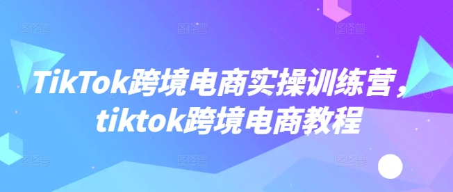 TikTok跨境电商实操训练营，tiktok跨境电商教程-一个公司创业项目 - 淘金吧