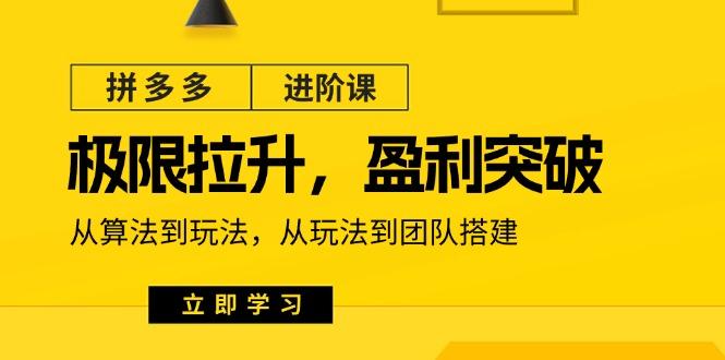 拼多多·进阶课：极限拉升/盈利突破：从算法到玩法 从玩法到团队搭建-18节-一个公司创业项目 - 淘金吧