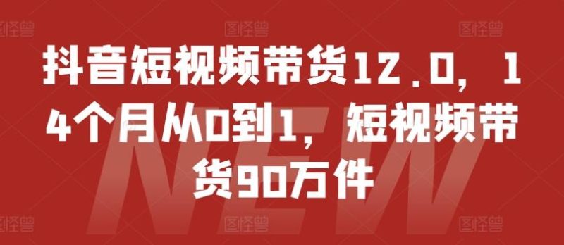 抖音短视频带货12.0，14个月从0到1，短视频带货90万件-一个公司创业项目 - 淘金吧