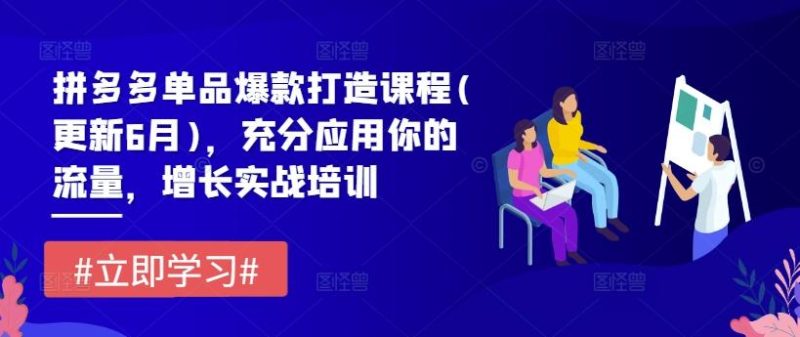 拼多多单品爆款打造课程(更新6月),充分应用你的流量,增长实战培训-一个公司创业项目 - 淘金吧
