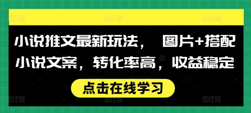 小说推文最新玩法， 图片+搭配小说文案，转化率高，收益稳定-一个公司创业项目 - 淘金吧