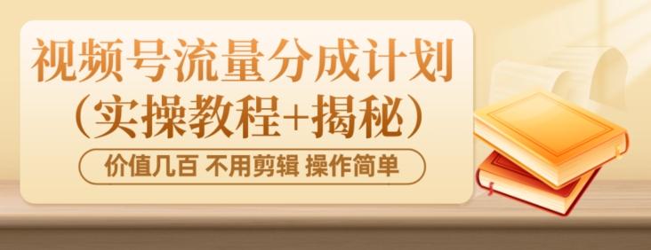 价值几百上千不用剪辑简单操作视频号流量分成计划（实操教程+揭秘）-一个公司创业项目 - 淘金吧