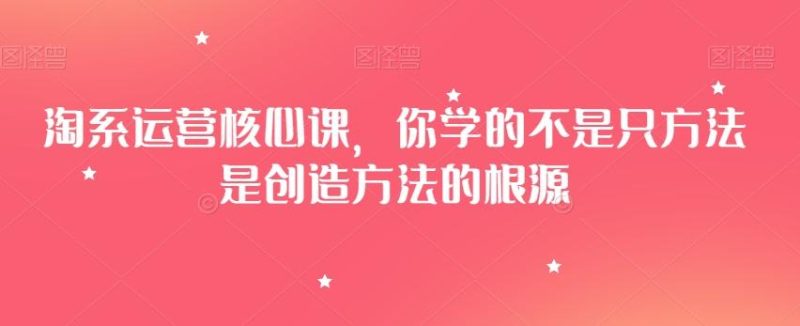 淘系运营核心课,你学的不是只方法是创造方法的根源-一个公司创业项目 - 淘金吧
