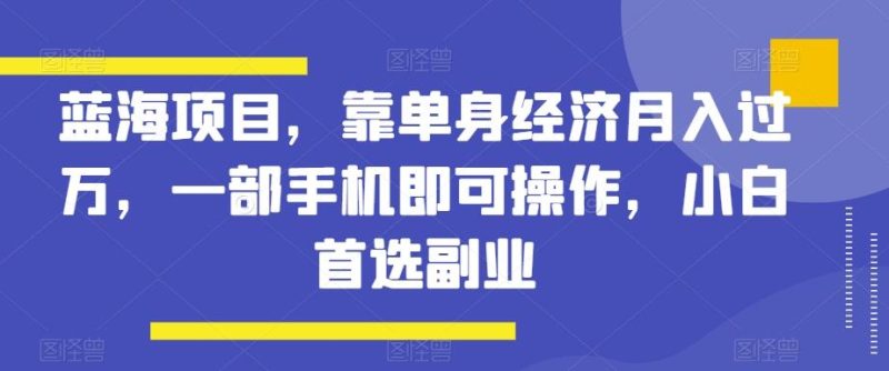 蓝海项目，靠单身经济月入过万，一部手机即可操作，小白首选副业【揭秘】-一个公司创业项目 - 淘金吧