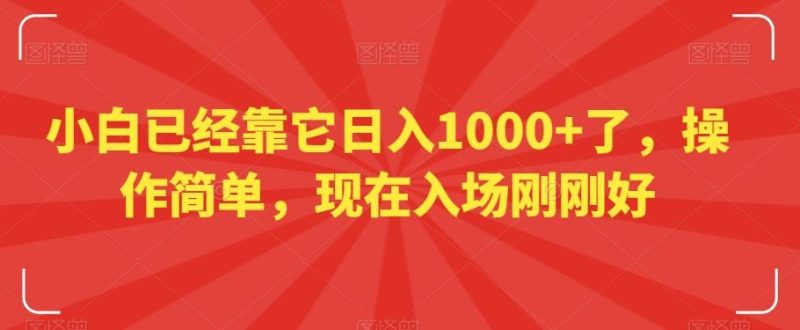 小白已经靠它日入1000+了，操作简单，现在入场刚刚好【揭秘】-一个公司创业项目 - 淘金吧