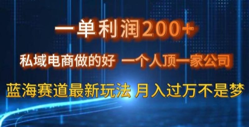 一单利润200私域电商做的好,一个人顶一家公司蓝海赛道最新玩法【揭秘】-一个公司创业项目 - 淘金吧