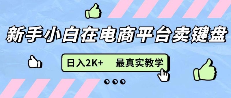 新手小白在电商平台卖键盘,日入2K+最真实教学-一个公司创业项目 - 淘金吧