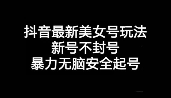 抖音最新美女号玩法，新号不封号，暴力无脑安全起号【揭秘】-一个公司创业项目 - 淘金吧
