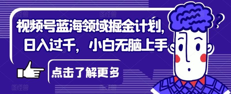 视频号蓝海领域掘金计划，日入过千，小白无脑上手【揭秘】-一个公司创业项目 - 淘金吧