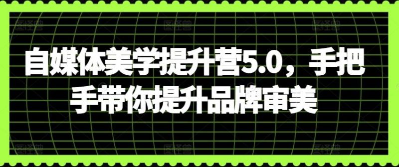 自媒体美学提升营5.0,手把手带你提升品牌审美-一个公司创业项目 - 淘金吧
