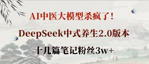 AI中医大模型杀疯了！DeepSeek中式养生2.0版本，十几篇笔记粉丝3w+-一个公司创业项目 - 淘金吧