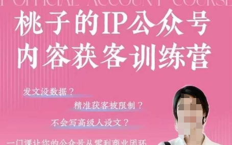 桃子IP公众号内容获客训练营(第3期)，一门让你公众号从0到商业闭环的课程-一个公司创业项目 - 淘金吧
