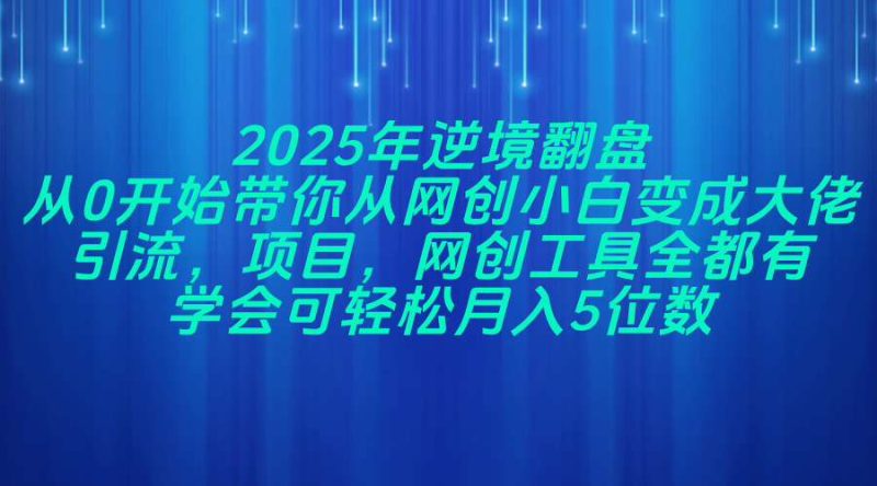 2025年逆境翻盘，从0开始带你从网创小白变成大佬，引流，项目，网创工…-一个公司创业项目 - 淘金吧