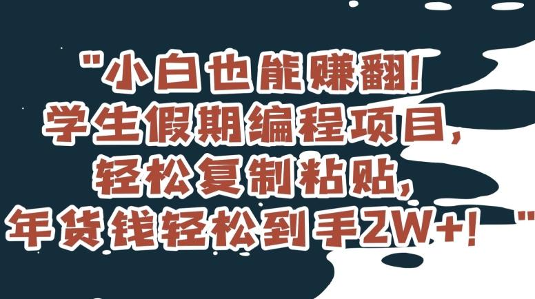 小白也能赚翻！学生假期编程项目，轻松复制粘贴，年货钱轻松到手2W+【揭秘】-一个公司创业项目 - 淘金吧