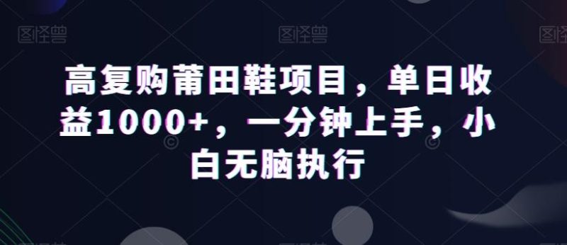 高复购莆田鞋项目,单日收益1000+,一分钟上手,小白无脑执行-一个公司创业项目 - 淘金吧