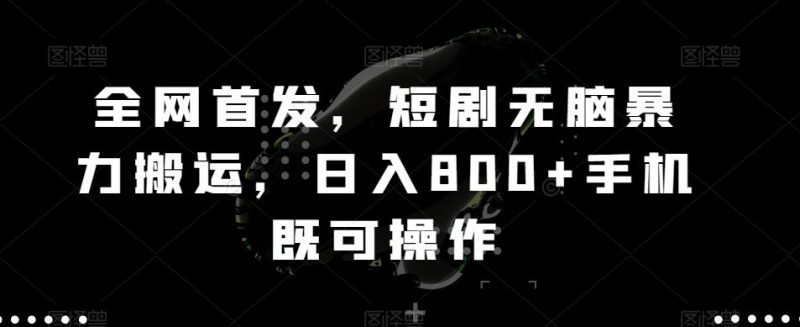 全网首发,短剧无脑暴力搬运,日入800+手机既可操作-一个公司创业项目 - 淘金吧