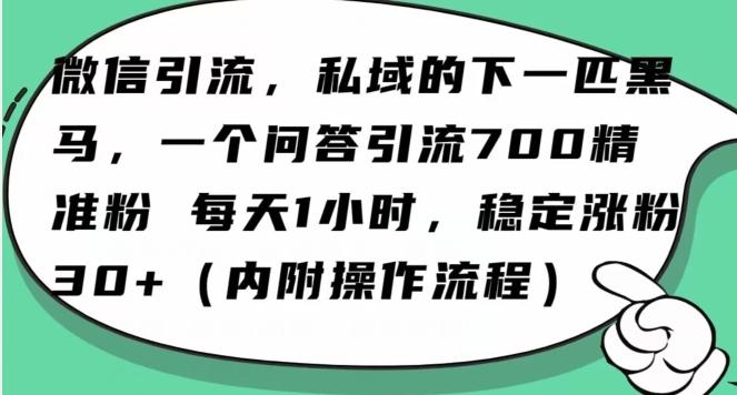 怎么搞精准创业粉？微信新赛道，每天一小时，利用Ai一个问答日引100精准粉-一个公司创业项目 - 淘金吧