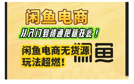 闲鱼电商实战课,从入门到精通秘籍在此,闲鱼电商无货源玩法超燃!-一个公司创业项目 - 淘金吧
