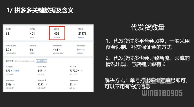 纪主任·拼多多年费会员(更新2025年1月)-一个公司创业项目 - 淘金吧
