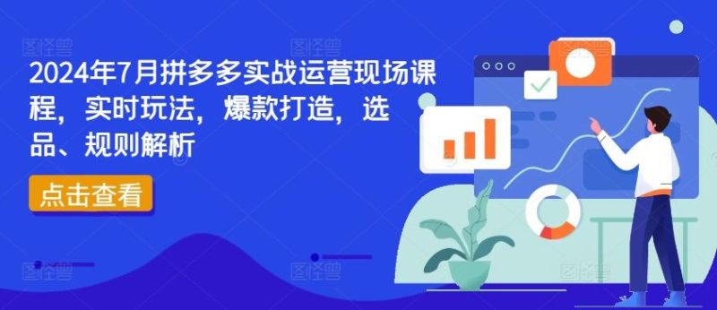 2024年7月拼多多实战运营现场课程,实时玩法,爆款打造,选品、规则解析-一个公司创业项目 - 淘金吧
