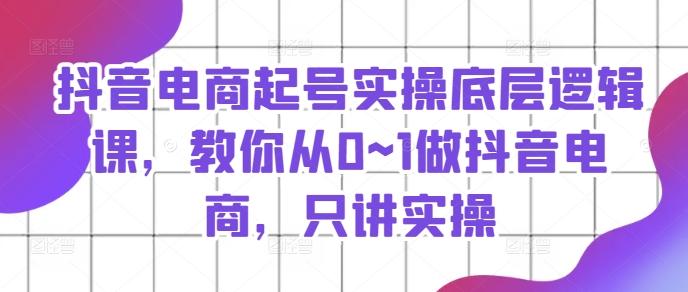 抖音电商起号实操底层逻辑课，教你从0~1做抖音电商，只讲实操-一个公司创业项目 - 淘金吧