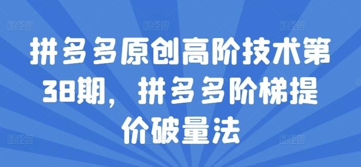 拼多多原创高阶技术第38期，拼多多阶梯提价破量法-一个公司创业项目 - 淘金吧