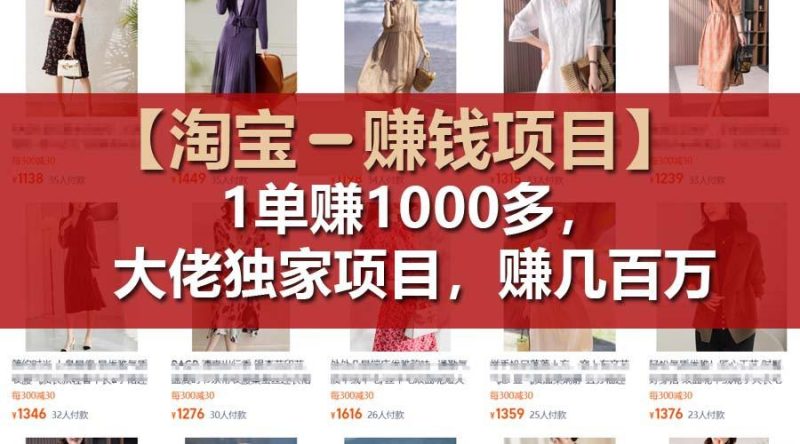 【淘宝赚钱项目】1单可赚1000多,大佬独家项目,年赚几百万-一个公司创业项目 - 淘金吧