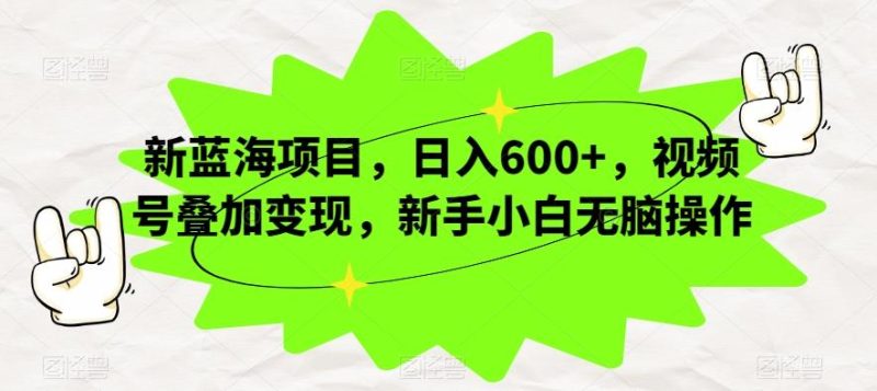 新蓝海项目,日入600+,视频号叠加变现,新手小白无脑操作【揭秘】-一个公司创业项目 - 淘金吧