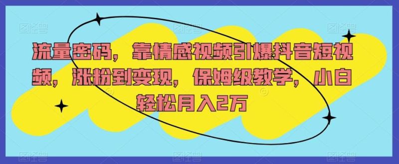 流量密码,靠情感视频引爆抖音短视频,涨粉到变现,保姆级教学,小白轻松月入2万【揭秘】-一个公司创业项目 - 淘金吧