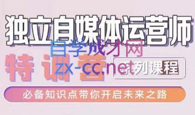 博老师·2024独立自媒体运营师特训营-一个公司创业项目 - 淘金吧