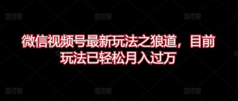 微信视频号最新玩法之狼道,目前玩法已轻松月入过万【揭秘】-一个公司创业项目 - 淘金吧