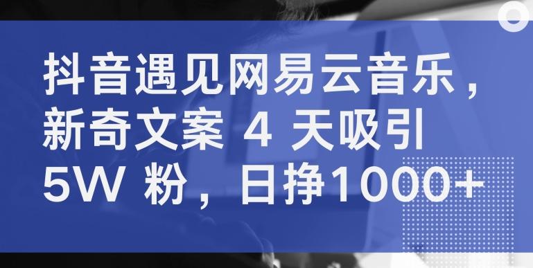 抖音遇见网易云音乐，新奇文案 4 天吸引 5W 粉，日挣1000+【揭秘】-一个公司创业项目 - 淘金吧