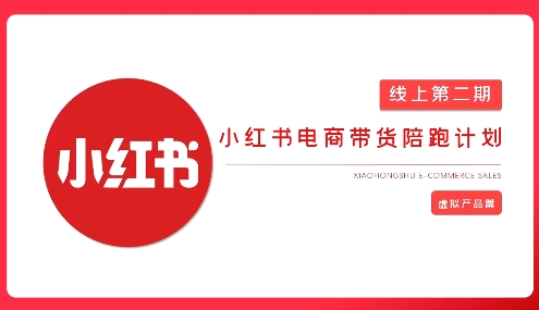 2025小红书虚拟电商实战课,从0到1打造无货源店铺,AI+爆款笔记轻松变现-一个公司创业项目 - 淘金吧