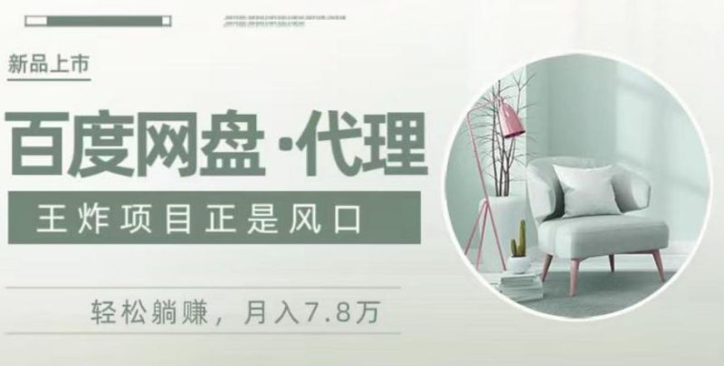 度盘代理，月入7w保姆级全方位教程-一个公司创业项目 - 淘金吧