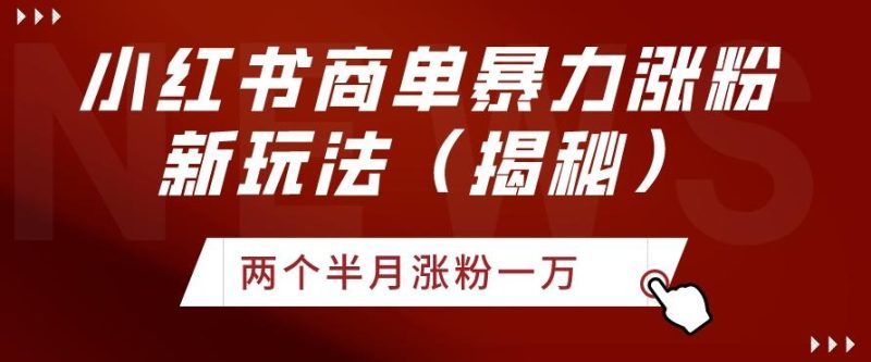 小红书商单暴力涨粉新玩法两个半月涨粉一万（揭秘）-一个公司创业项目 - 淘金吧