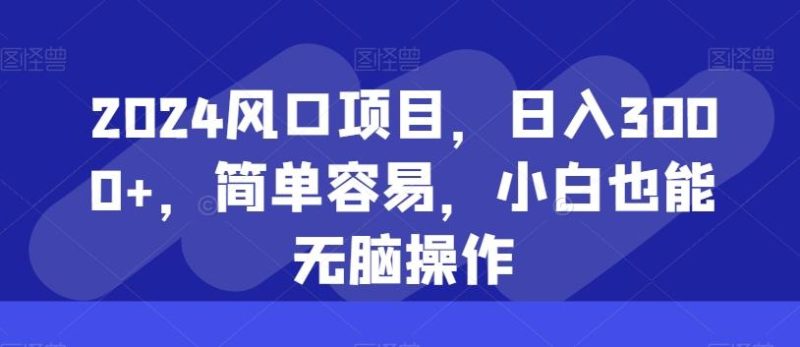 2024风口项目,日入3000+,简单容易,小白也能无脑操作-一个公司创业项目 - 淘金吧