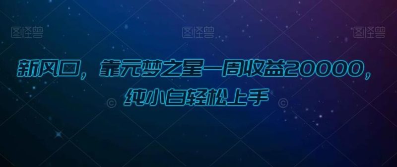 新风口，靠元梦之星一周收益20000，纯小白轻松上手-一个公司创业项目 - 淘金吧
