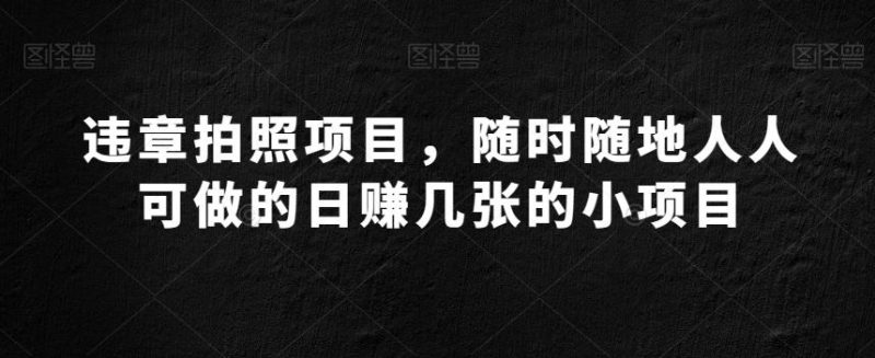 违章拍照项目,随时随地人人可做的日赚几张的小项目-一个公司创业项目 - 淘金吧