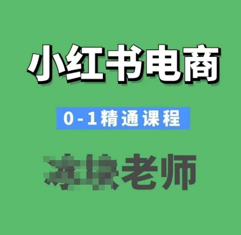 小红书电商0-1精通课程,小红书开店必学课程-一个公司创业项目 - 淘金吧