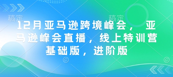12月亚马逊跨境峰会， 亚马逊峰会直播，线上特训营基础版，进阶版-一个公司创业项目 - 淘金吧