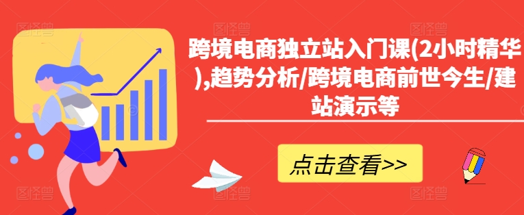 跨境电商独立站入门课(2小时精华),趋势分析/跨境电商前世今生/建站演示等-一个公司创业项目 - 淘金吧