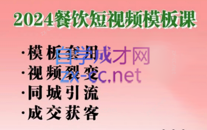 美丽老师·2024餐饮短视频摸版课-一个公司创业项目 - 淘金吧