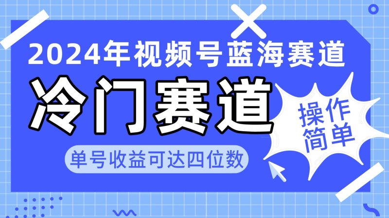 2024视频号冷门蓝海赛道，操作简单 单号收益可达四位数(教程+素材+工具-一个公司创业项目 - 淘金吧