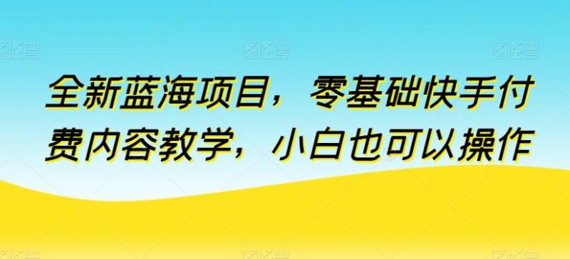 全新蓝海项目，零基础快手付费内容教学，小白也可以操作【揭秘】-一个公司创业项目 - 淘金吧